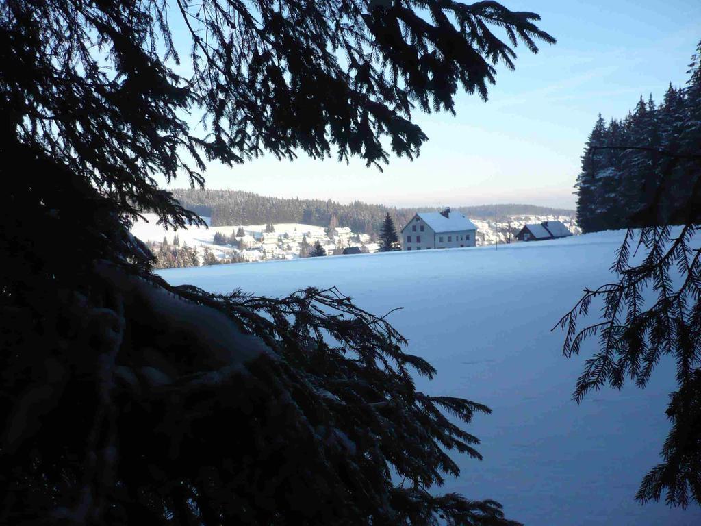 Hohengasthof Lowen - Escheck Schönwalde Εξωτερικό φωτογραφία